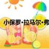 小保羅·拉馬爾·弗里曼（關于小保羅·拉馬爾·弗里曼簡介）