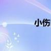 小傷口（關于小傷口簡介）