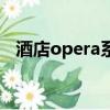 酒店opera系統模擬版（酒店opera系統）