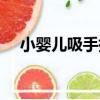 小嬰兒吸手指（關于小嬰兒吸手指簡介）