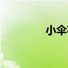 小傘花（關于小傘花簡介）