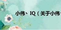 小偉丶IQ(關于小偉丶IQ簡介)