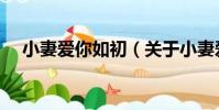 小妻愛你如初(關于小妻愛你如初簡介)