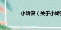 小嬌妻(關于小嬌妻簡介)