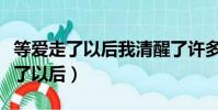 等愛走了以后我清醒了許多是什么歌(等愛走了以后)