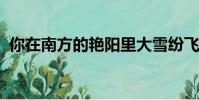 你在南方的艷陽里大雪紛飛歌詞是什么意思