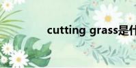cutting grass是什么意思