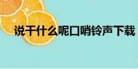 說干什么呢口哨鈴聲下載(說干什么呢)