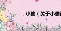 小偷(關于小偷簡介)