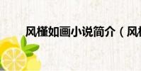 風槿如畫小說簡介(風槿如畫結局)