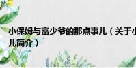 小保姆與富少爺的那點事兒(關于小保姆與富少爺的那點事兒簡介)