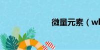 微量元素(wly)