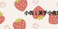 小佐(關于小佐簡介)