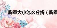 胸罩大小怎么分辨(胸罩大小怎么分)