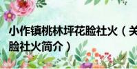 小作鎮桃林坪花臉社火(關于小作鎮桃林坪花臉社火簡介)