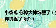 小傻瓜 你掉大神坑里了(關于小傻瓜 你掉大神坑里了簡介)