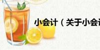 小會計(關于小會計簡介)