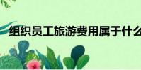 組織員工旅游費用屬于什么費用(組織員)