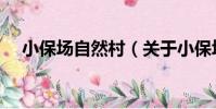 小保場自然村(關于小保場自然村簡介)