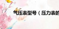 氣壓表型號(壓力表的規格型號)