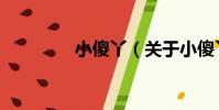 小傻丫(關于小傻丫簡介)