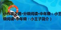 小作家之路·分級閱讀·中年級:小王子(關于小作家之路·分級閱讀·中年級:小王子簡介)