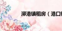 泖港鎮租房(港口鎮租房)