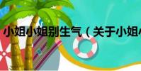 小姐小姐別生氣(關于小姐小姐別生氣簡介)