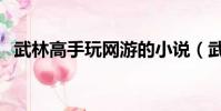 武林高手玩網游的小說(武林高手玩網游)