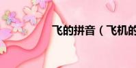 飛的拼音(飛機的拼音)