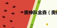 奧神隊金鑫(奧神隊)