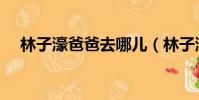 林子濠爸爸去哪兒(林子濠爸爸回來了)