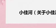 小佳河(關于小佳河簡介)