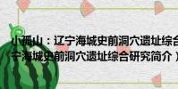 小孤山:遼寧海城史前洞穴遺址綜合研究(關于小孤山:遼寧海城史前洞穴遺址綜合研究簡介)