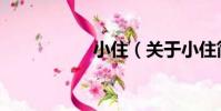 小住(關于小住簡介)