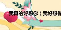 我真的好想你(我好想你潘廣益歌詞)