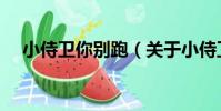 小侍衛你別跑(關于小侍衛你別跑簡介)