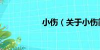 小傷(關于小傷簡介)