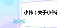 小偉(關于小偉簡介)
