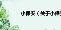 小保安(關于小保安簡介)