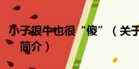 小子很牛也很“傻”(關于小子很牛也很“傻”簡介)