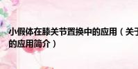 小假體在膝關節置換中的應用(關于小假體在膝關節置換中的應用簡介)