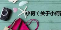 小何(關于小何簡介)