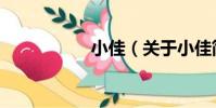 小佳(關于小佳簡介)