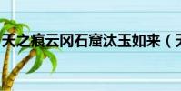 天之痕云岡石窟汰玉如來(天之痕 云岡石窟)