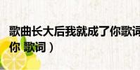歌曲長大后我就成了你歌詞(長大后我就成了你 歌詞)