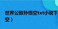 世界公敵孫悟空txt小說下載(世界公敵孫悟空)