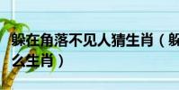 躲在角落不見人猜生肖(躲在角落不見人指什么生肖)