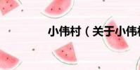 小偉村(關于小偉村簡介)