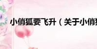 小俏狐要飛升(關于小俏狐要飛升簡介)